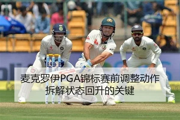 mai-ke-luo-yi-jin-biao-sai-qian-tiao-zheng-dong-zuo-chai-jie-zhuang-tai-hui-sheng-de-guan-jian-2-199.jpg